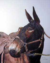 Blue Ribbon Mule