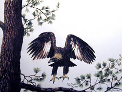 Golden Eagle