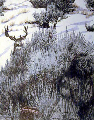 Sage Mule