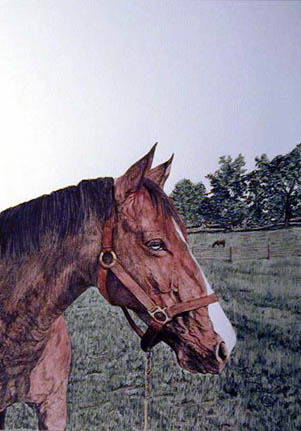 Horse Head