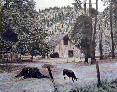 Barn and Steer