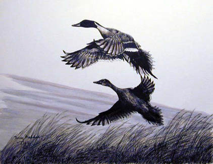 Pin Tails