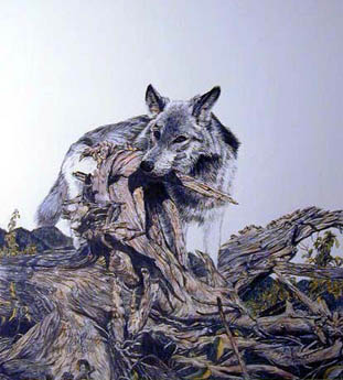 Young Wolf