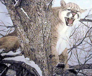 Treed