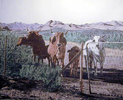 Texas Rangers