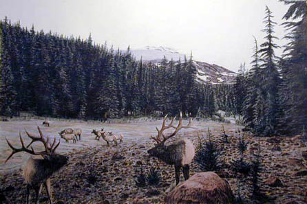 Wilderness Challenge