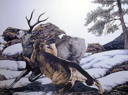 Wilderness Survival