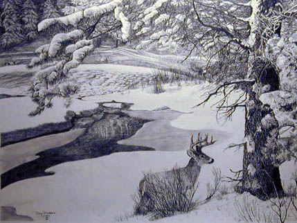 Whitetail