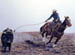 Steer Roper