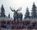 Bull Moose