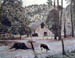 Barn and Steer