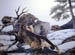 Wilderness Survival