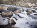 Blossum Bar - Rogue River