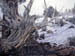 Weathered Stump