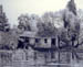 Louisiana Swamp Shack