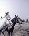 Looking for Strays - Cowboys